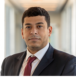 Dr. Islam M. Mantawy, PhD, PE